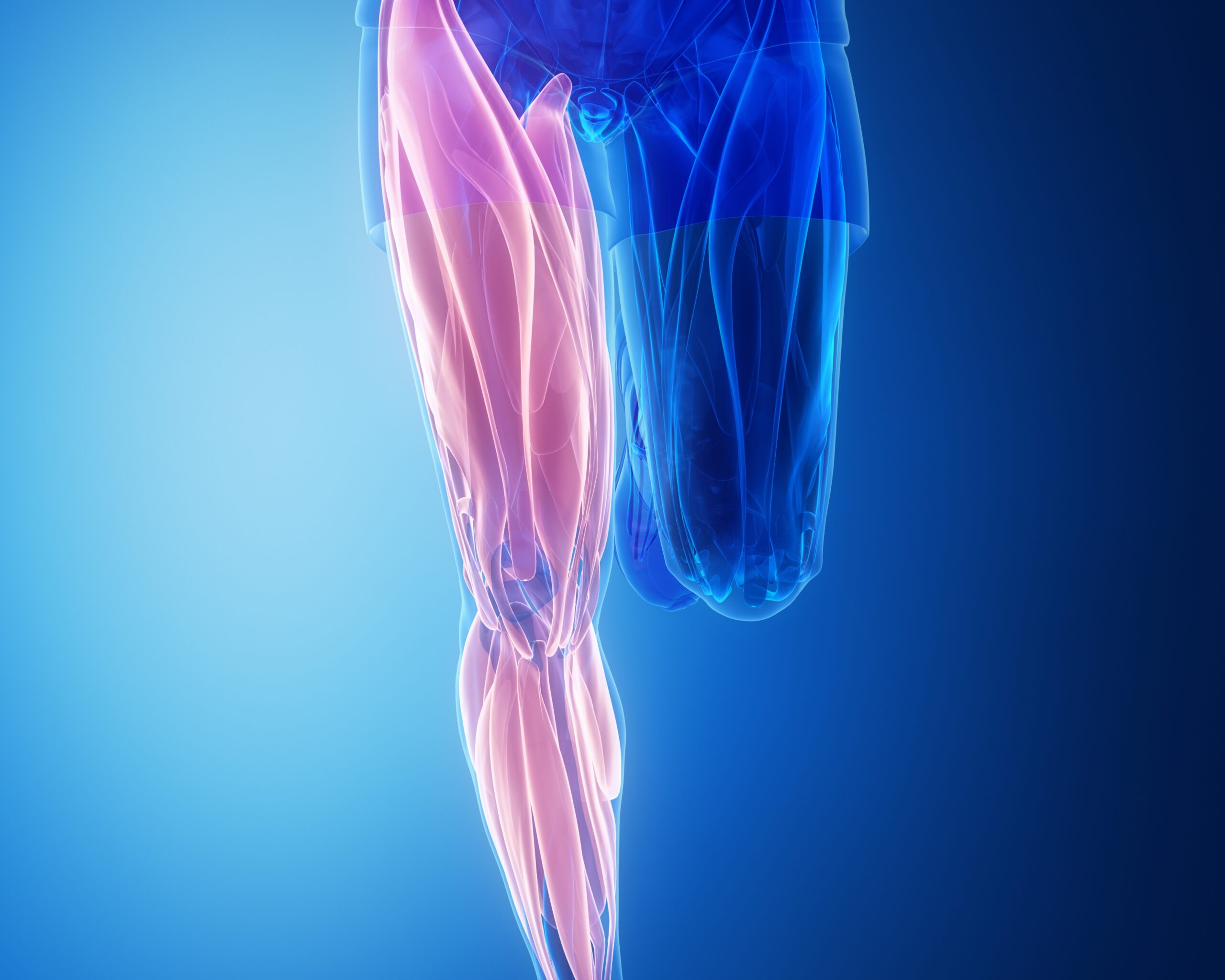 Signification spirituelle des fourmillements dans le corps – besoin d’ancrage et de stabilité énergétique