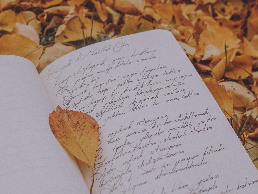 Carnet posé sur un tissu avec des feuilles séchées