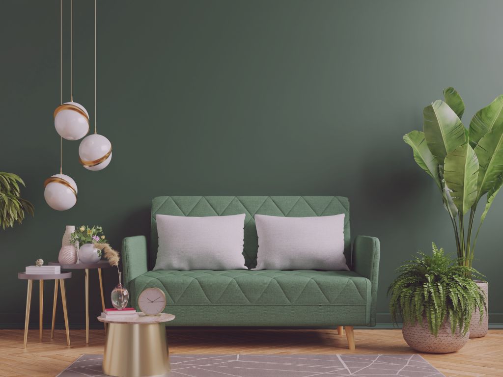 Pièce lumineuse, vide et paisible avec une plante verte