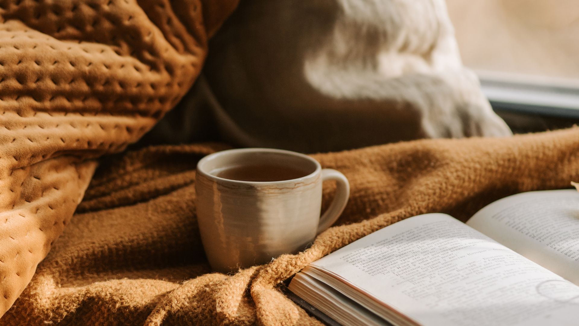 *Image 4*Nom : rituel-sommeil-automne.jpgALT : Tasse de tisane chaude posée près d’un carnet, rituel pour un sommeil réparateur en automne