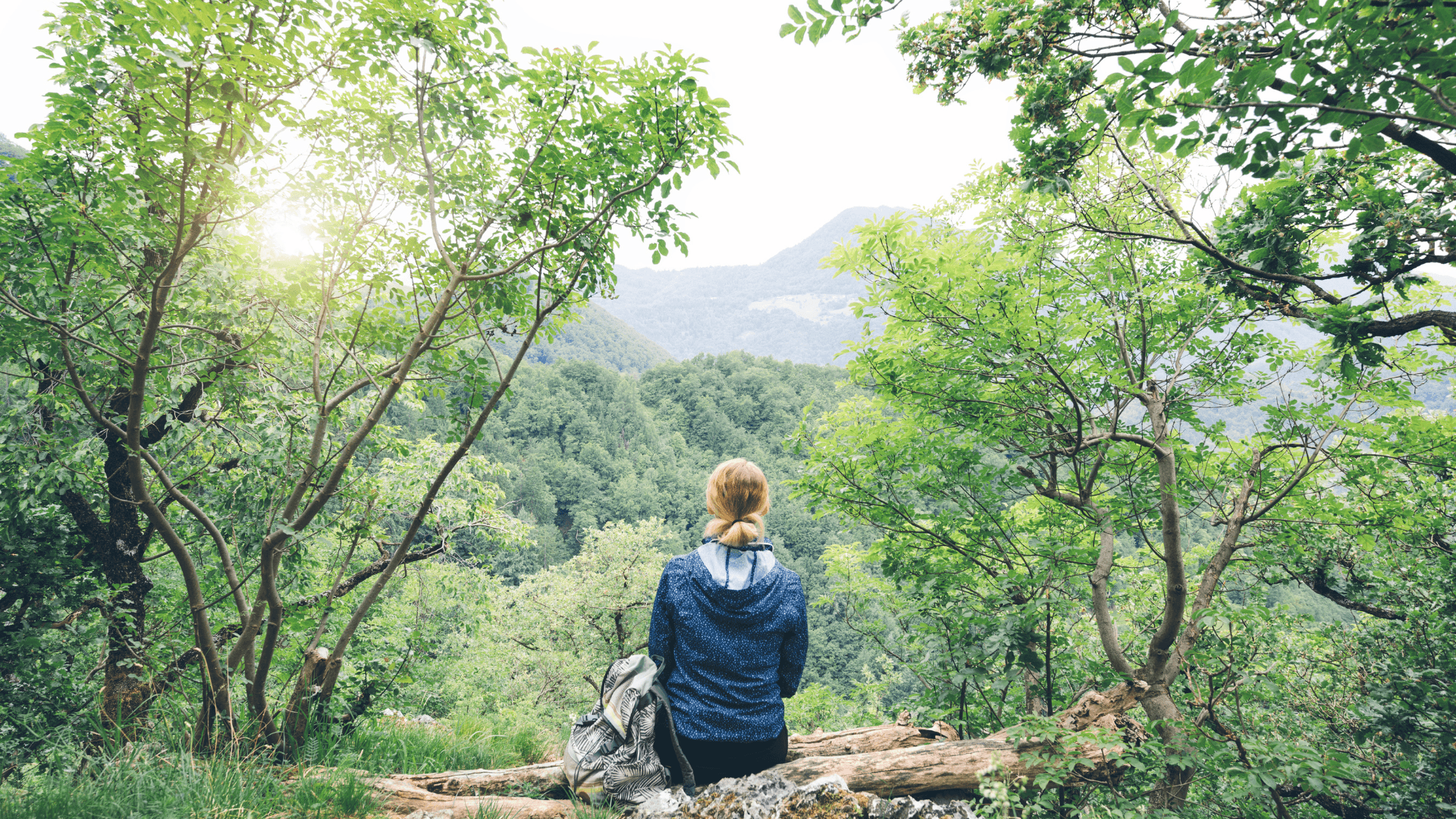 forêt silencieuse. illustration du silence guérisseur issu de la nature