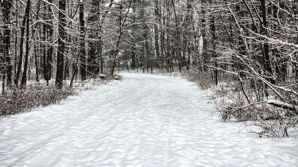 Chemin enneigé représentant l’ancrage et la stabilité intérieure